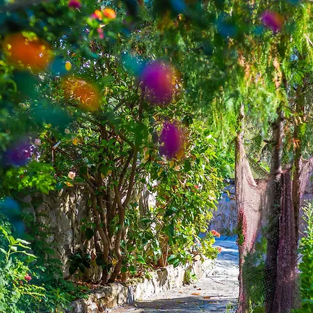 מלון Hanim Pinar Butik *