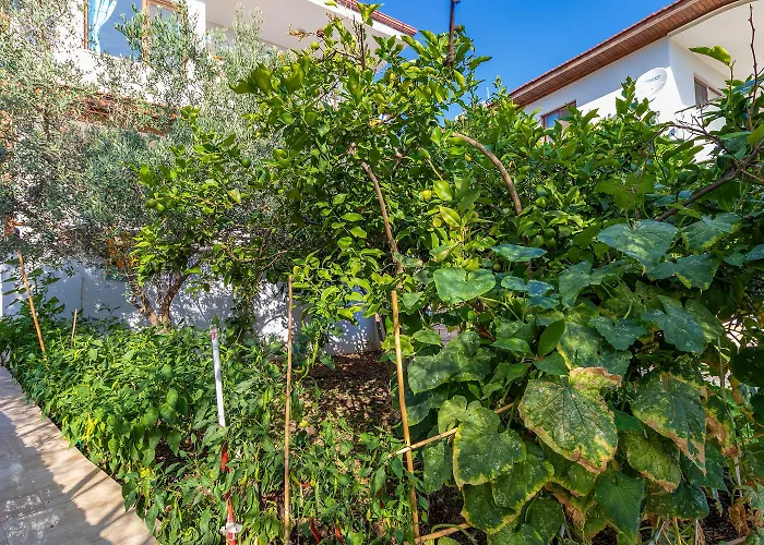 Hanim Pinar Butik Hotel *