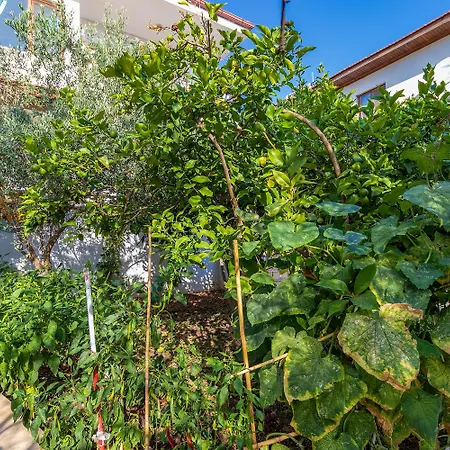 Hanim Pinar Butik فندق *