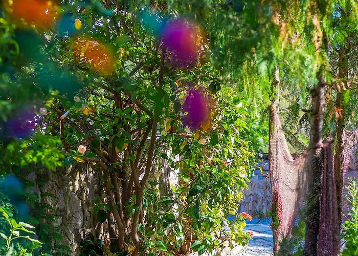 Hotel Hanim Pinar Butik *